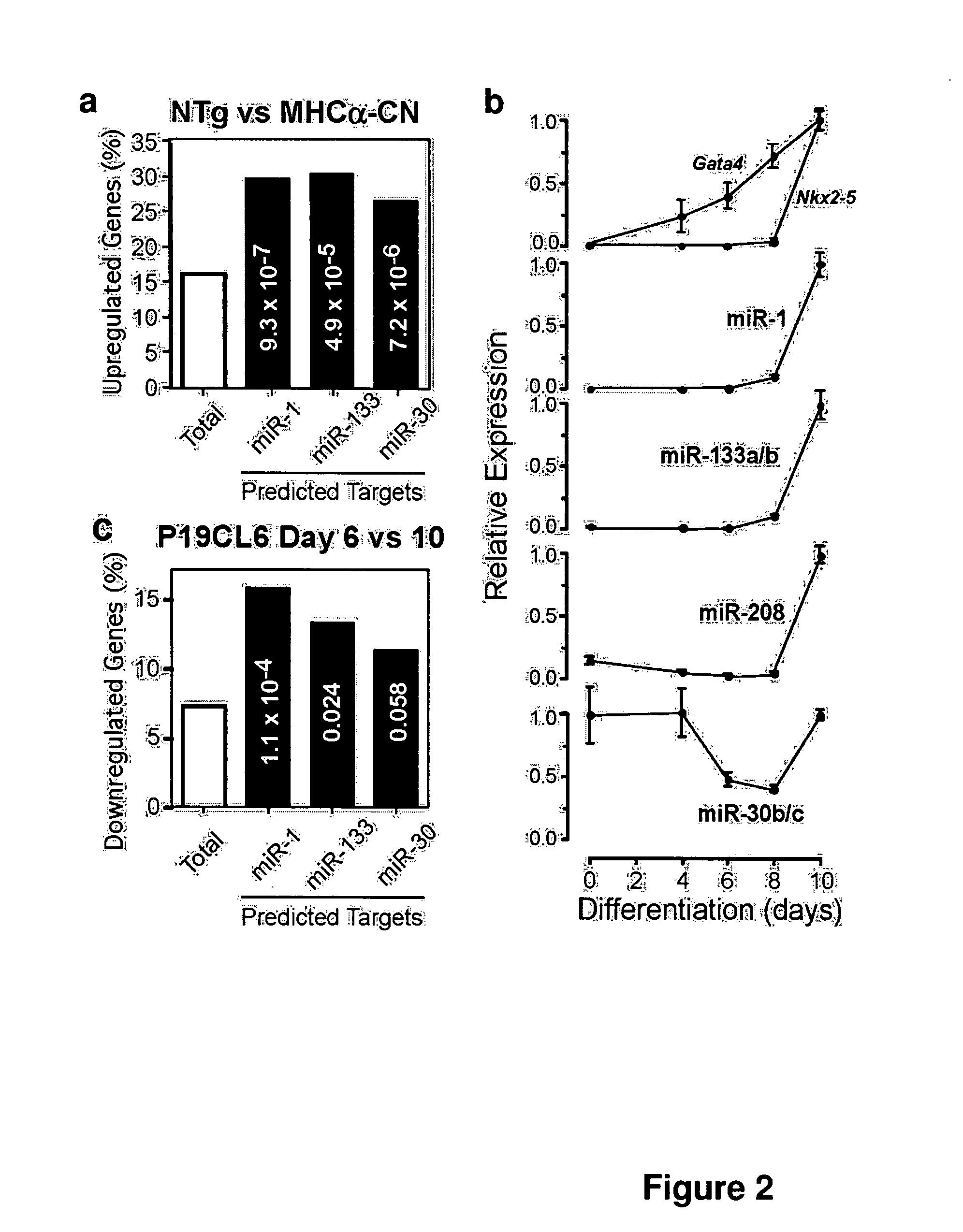 Compositions and methods for evaluating and treating heart failure