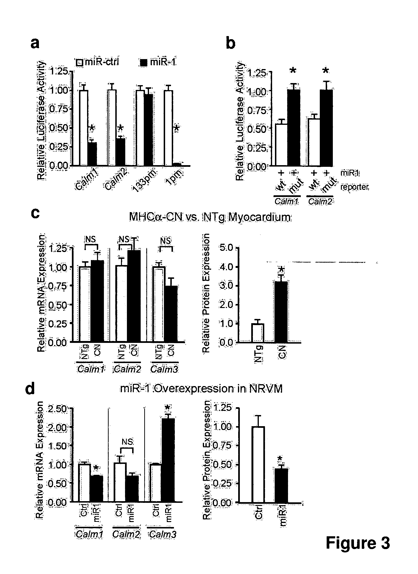 Compositions and methods for evaluating and treating heart failure