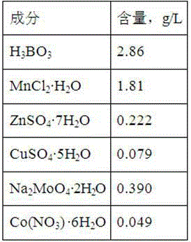 Method for producing lipid through mixed culture of microalgae