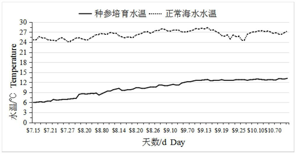 South-cultured apostichopus japonicus out-of-season seed production and cultivation method