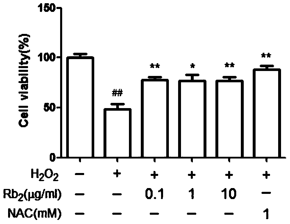 Application of ginsenoside Rb2 to protection of osteoblast precursor cell