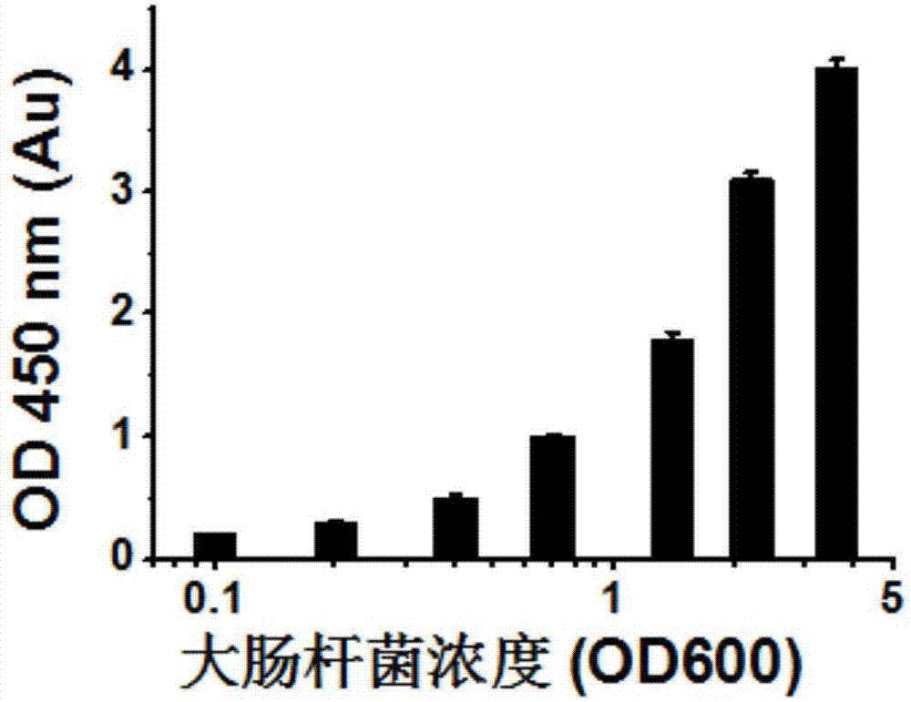 Application and method adopting single sulfonic acid tetrazolium salt to detect cell activity