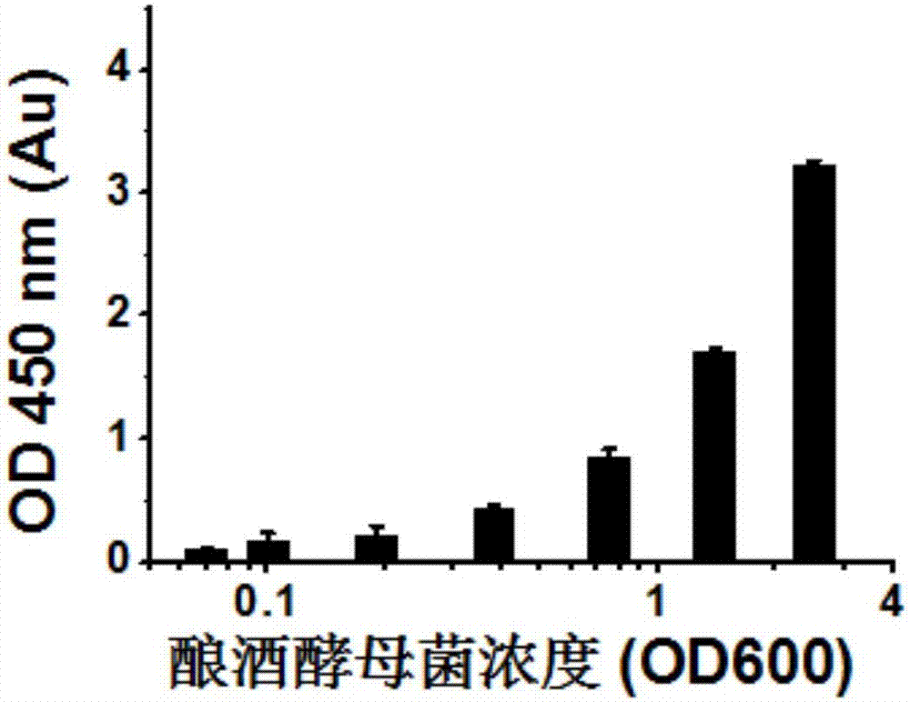 Application and method adopting single sulfonic acid tetrazolium salt to detect cell activity