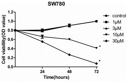 Application of dibrompropamidine dihydrochloride to preparation of medicine for inhibiting bladder cancer EGFR (Epidermal Growth Factor Receptor) target spot