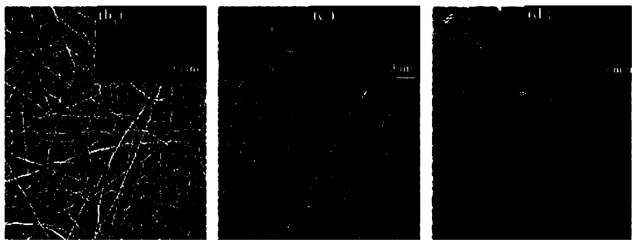 A kind of preparation method of composite fluorescent nanofiber film