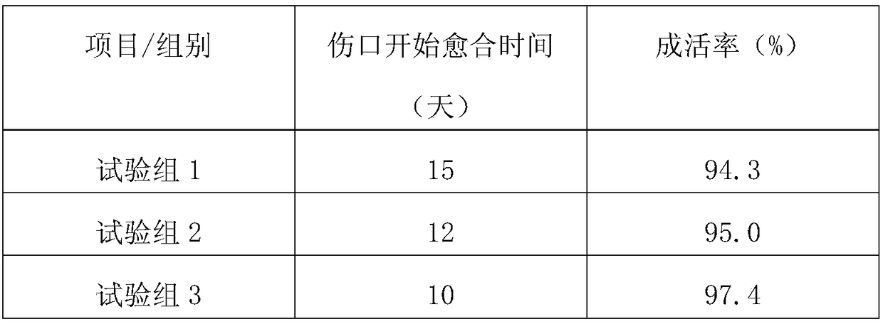 Method for improving grafting survival rate of pepper