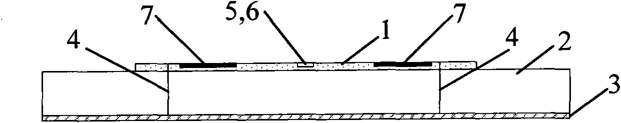 Differential feed half-wave length antenna with harmonic suppression function