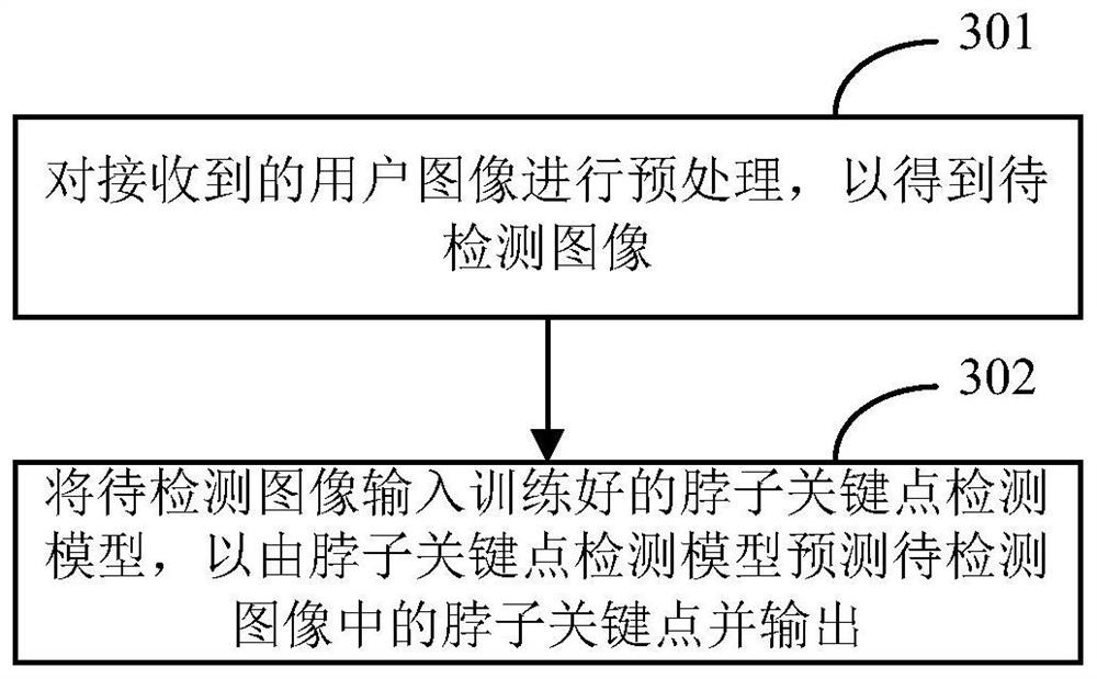 Neck key point detection method and device and detection model training method and device