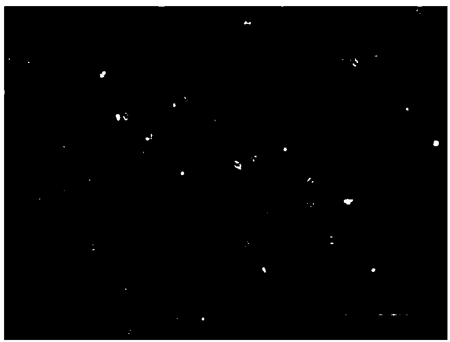 Primary tumor cell culture medium, culture method and application