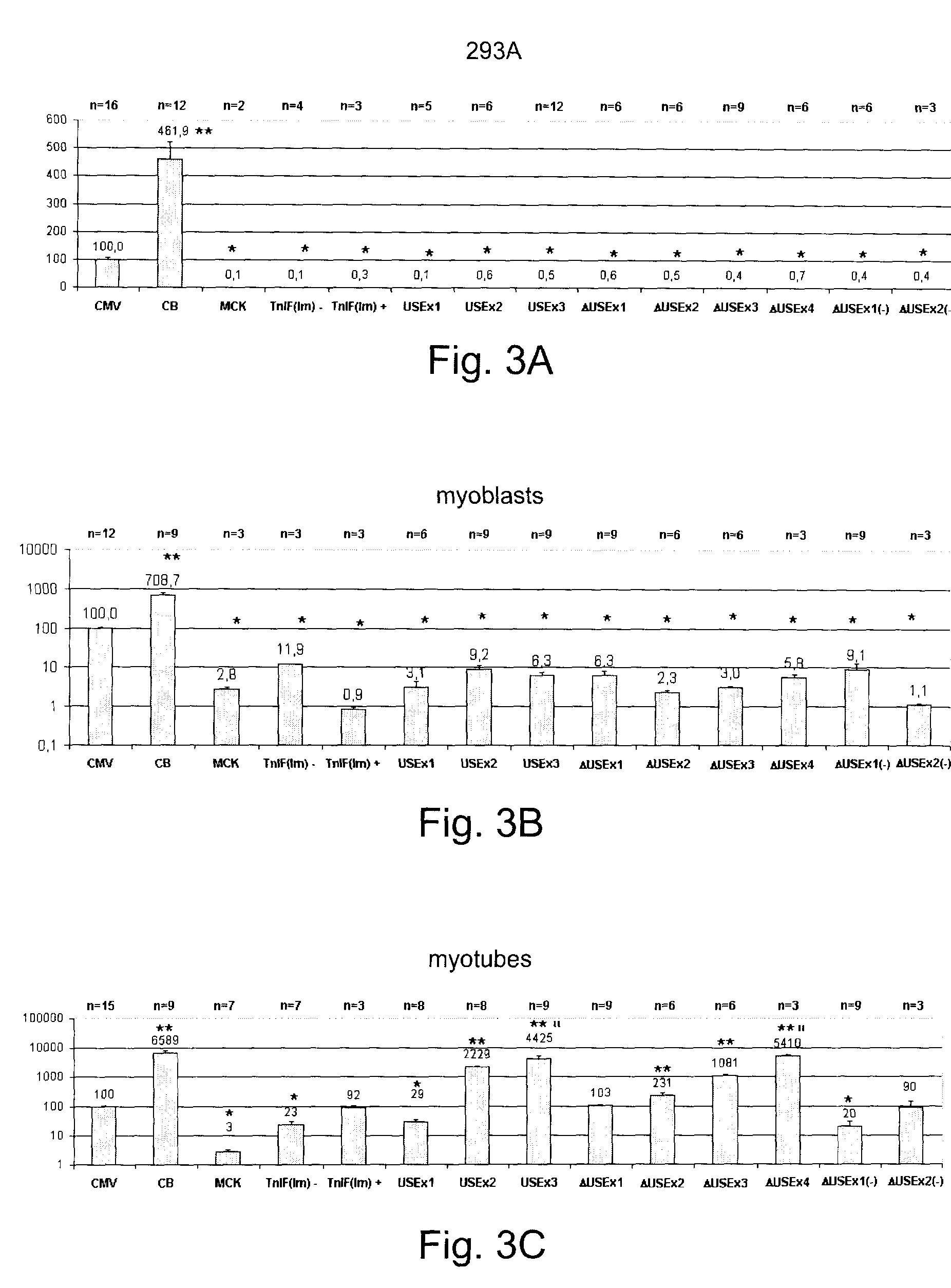 Constructs for enhancement of gene expression in muscle