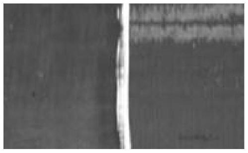 Environment-friendly high-adhesion building primer and preparation method thereof