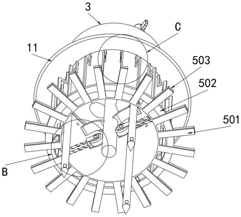 Forestry seedling cultivation fixing device