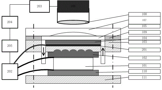 Chemiluminiscence immuno biosensor detection device and detection analysis method