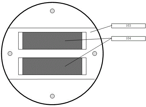 Chemiluminiscence immuno biosensor detection device and detection analysis method