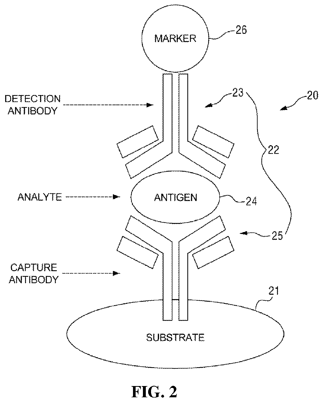 High-sensitive biosensor chip using high extinction coefficient marker and dielectric substrate, measurement system, and measurement method