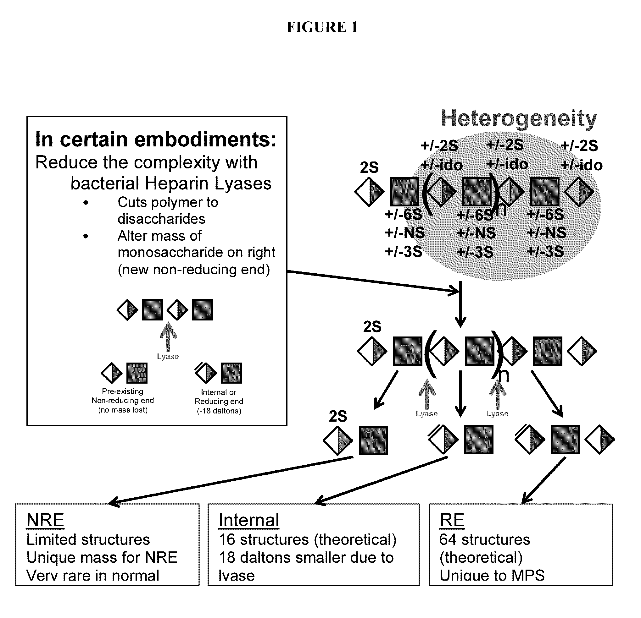 Detection of oligosaccharides