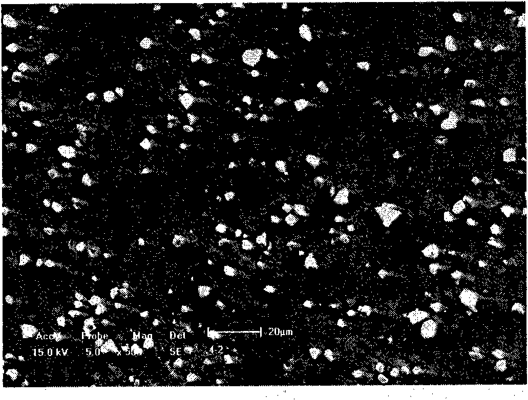 Grain refiner for magnesium alloy and preparation method thereof