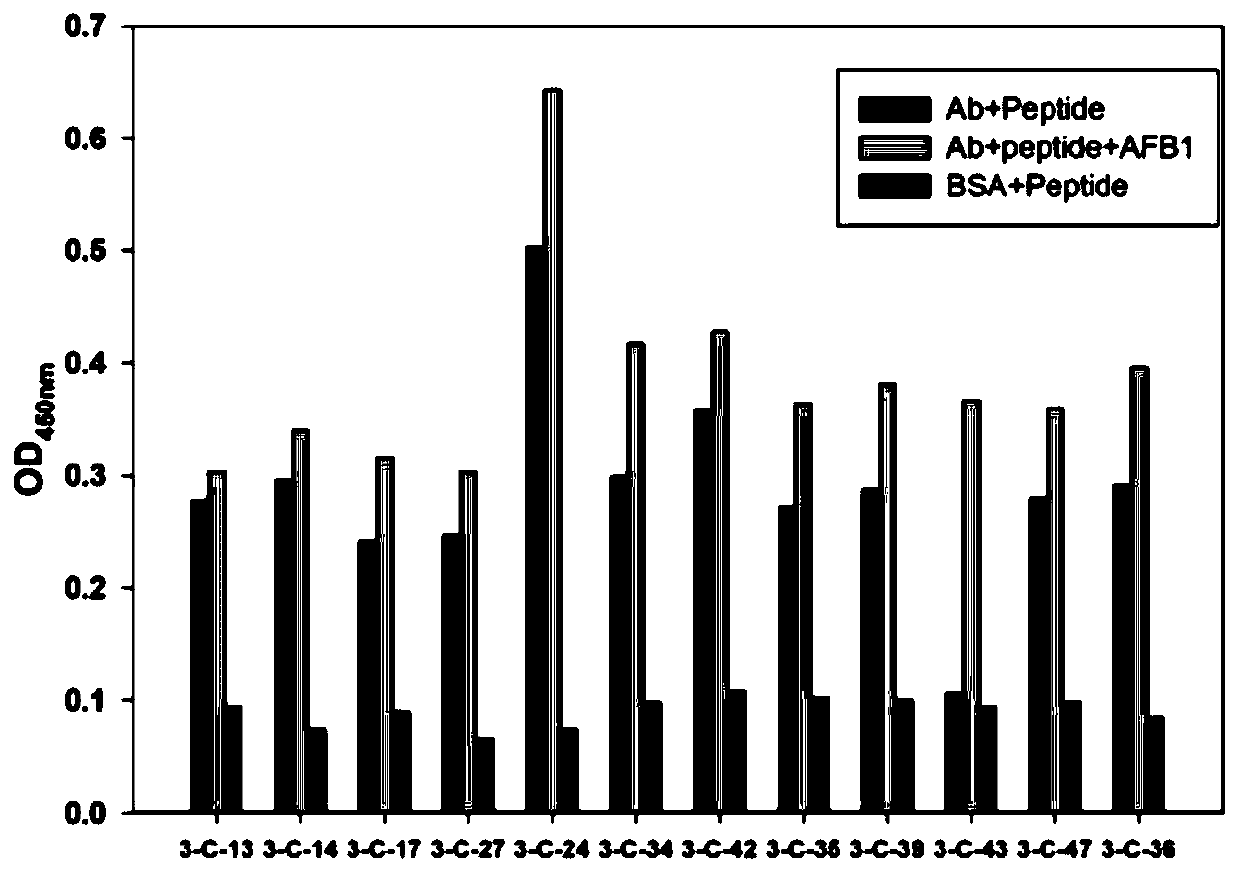 Cyclic polypeptide simulating epitope of aflatoxin b1 and detection kit thereof