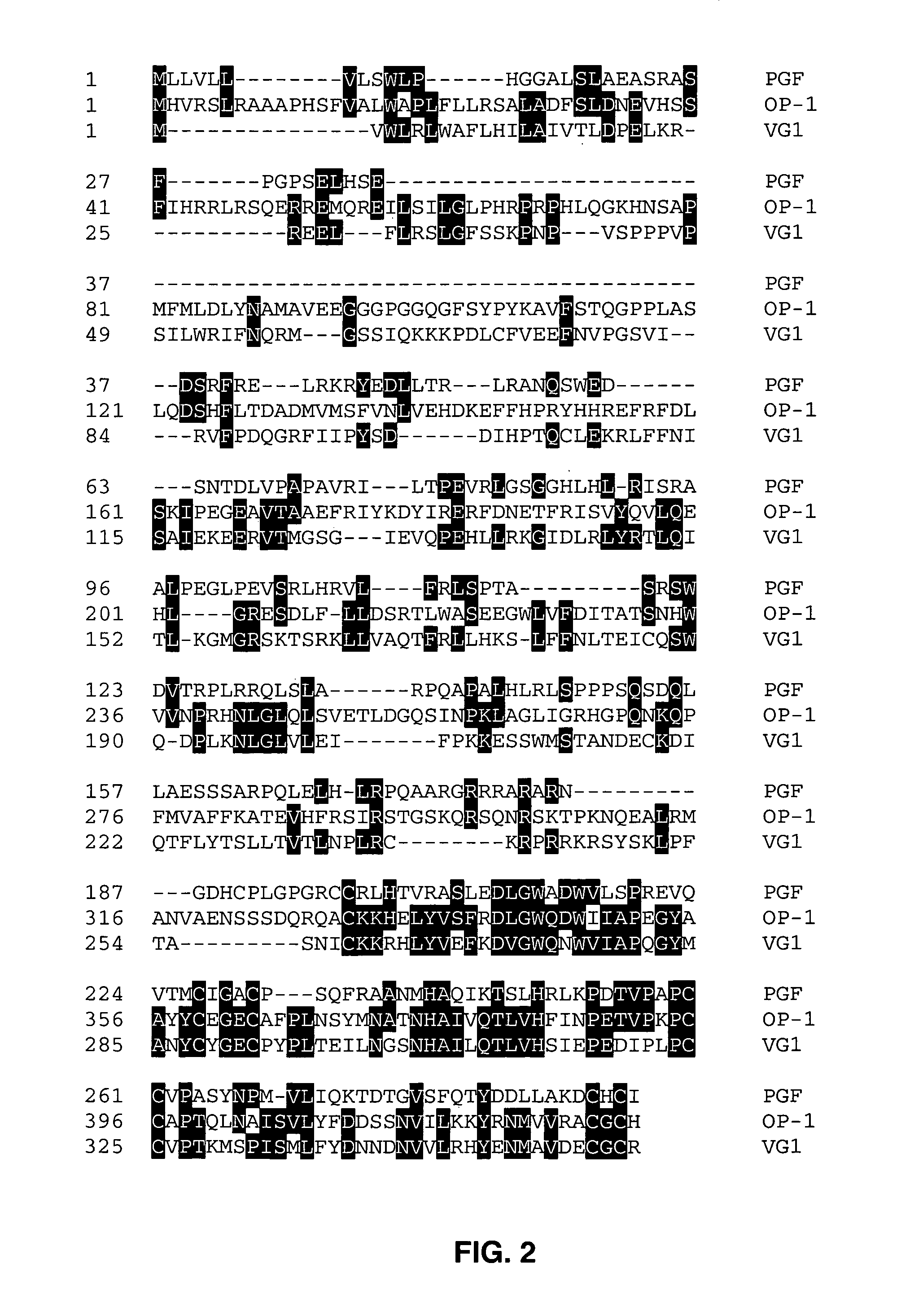 Prostatic growth factor