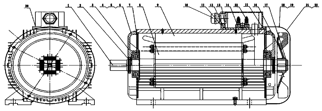 Novel generator made of iron-cobalt-based permanent magnet material