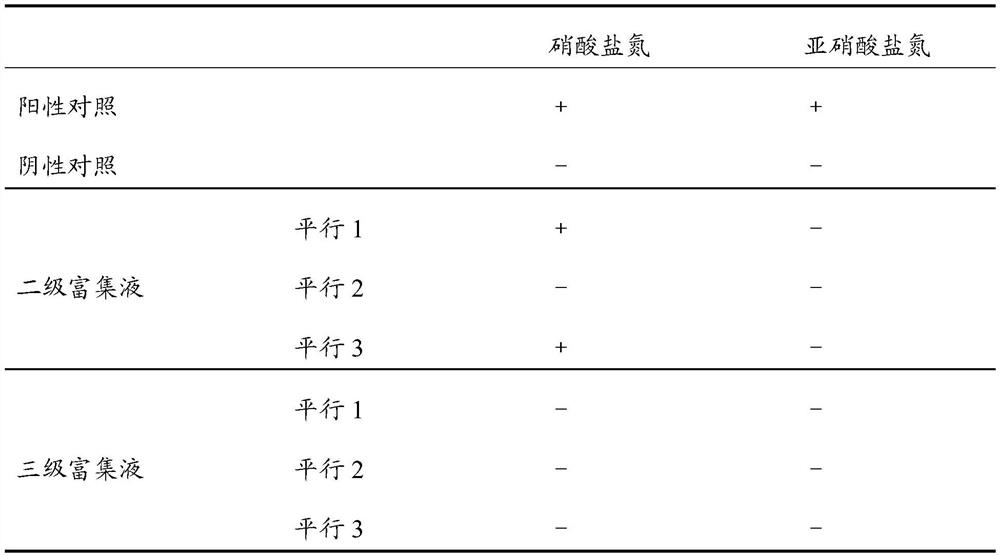 Paracoccus with denitrification and phosphorus removal functions and application thereof