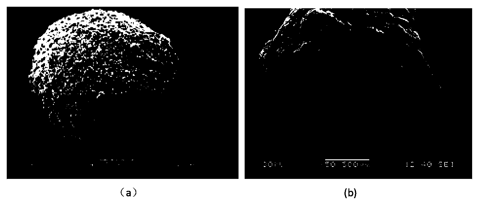 Microporous pelletal ammonium nitrate and preparation method thereof