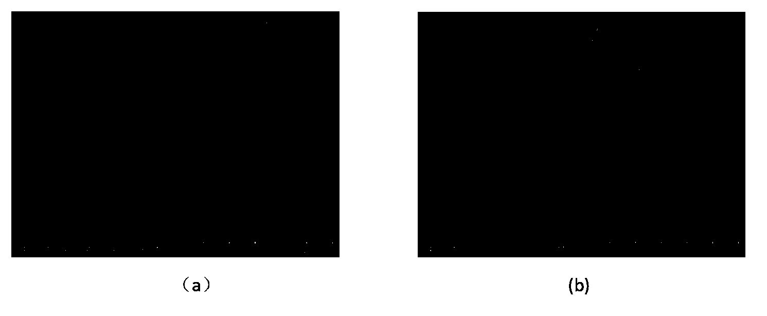 Microporous pelletal ammonium nitrate and preparation method thereof