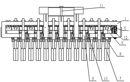 Precision pseudo-ginseng seeding machine