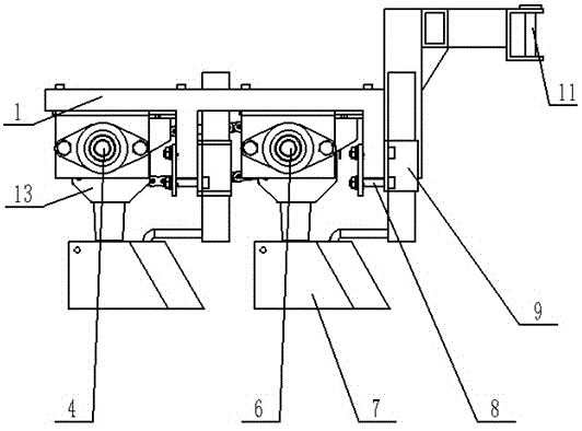 Precision pseudo-ginseng seeding machine