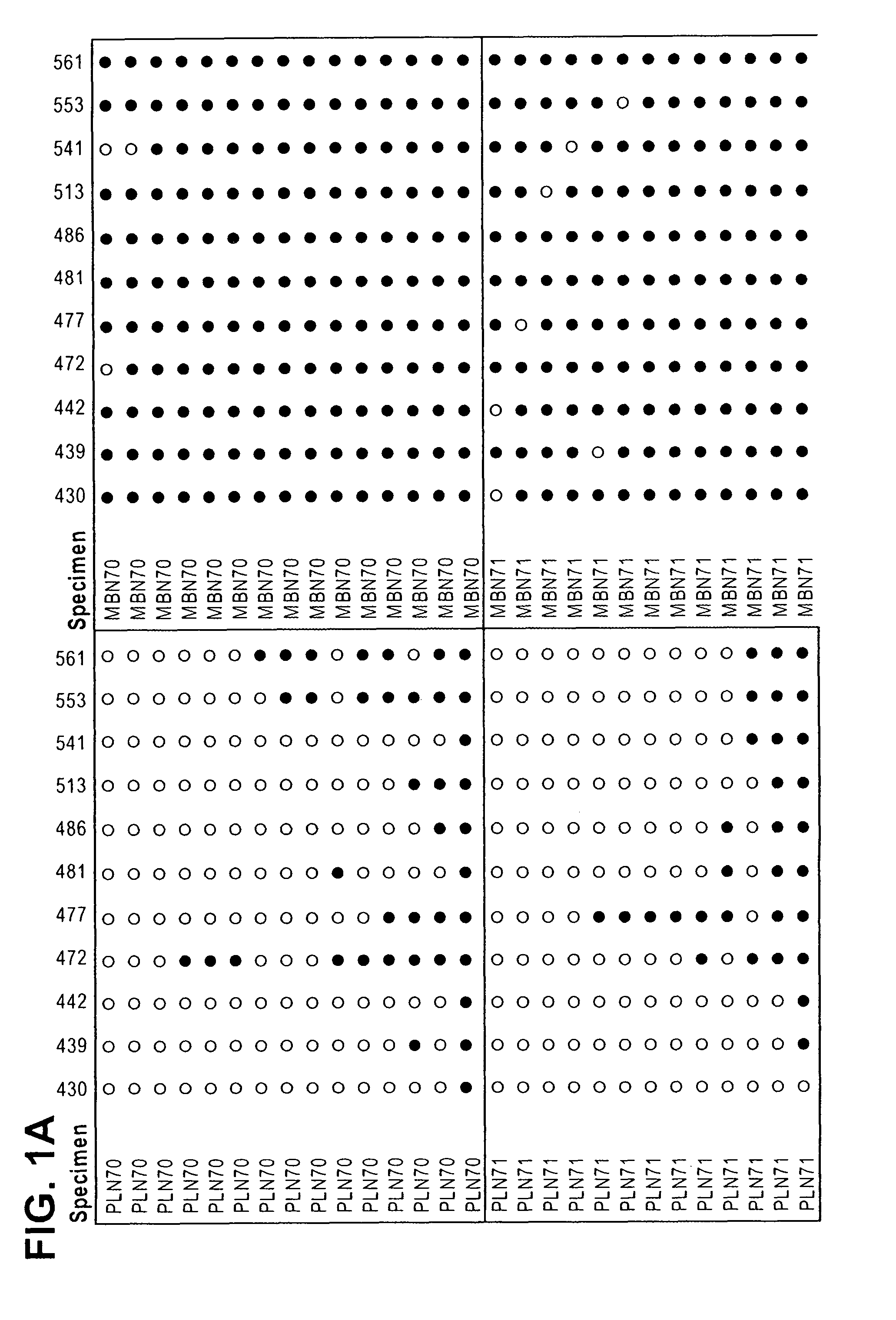 Markers for prenatal diagnosis and monitoring