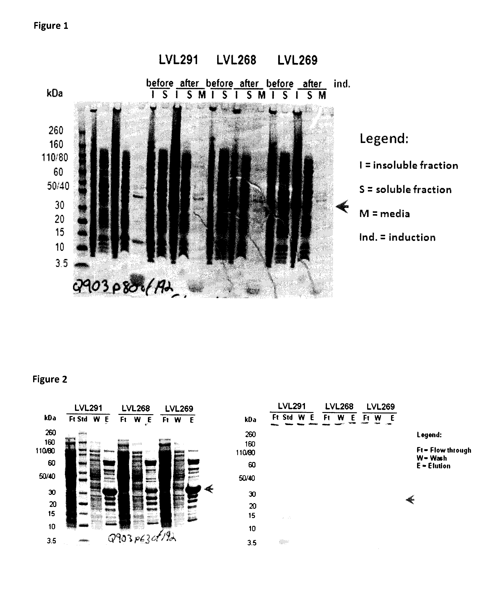 Fusion proteins and combination vaccines comprising haemophilus influenzae protein e and pilin a