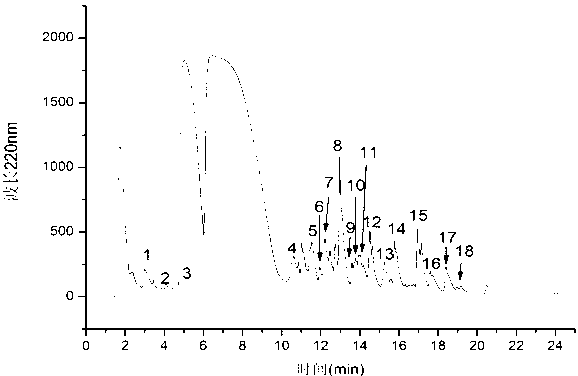 Antioxidant composition, preparation method of antioxidant composition and antioxidant food