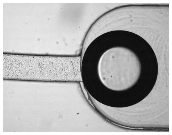 A Method for Controlling the Shape of Irregular Bubbles in Microchannels