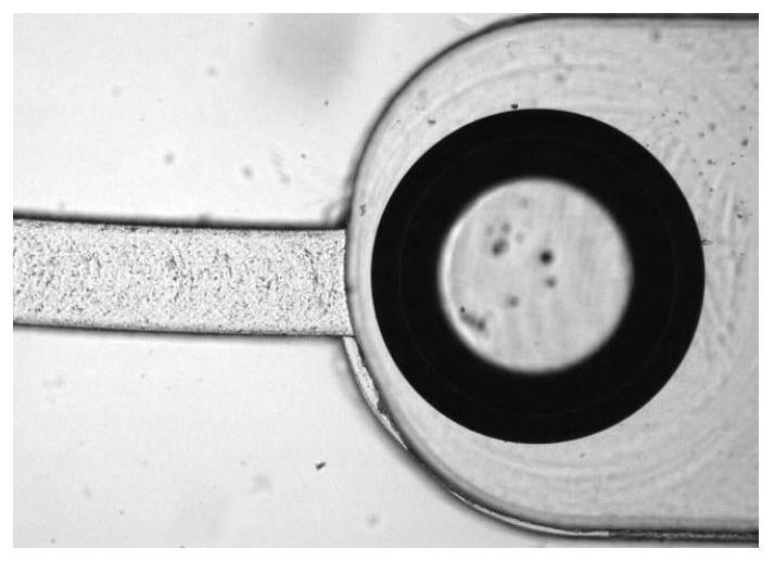 A Method for Controlling the Shape of Irregular Bubbles in Microchannels