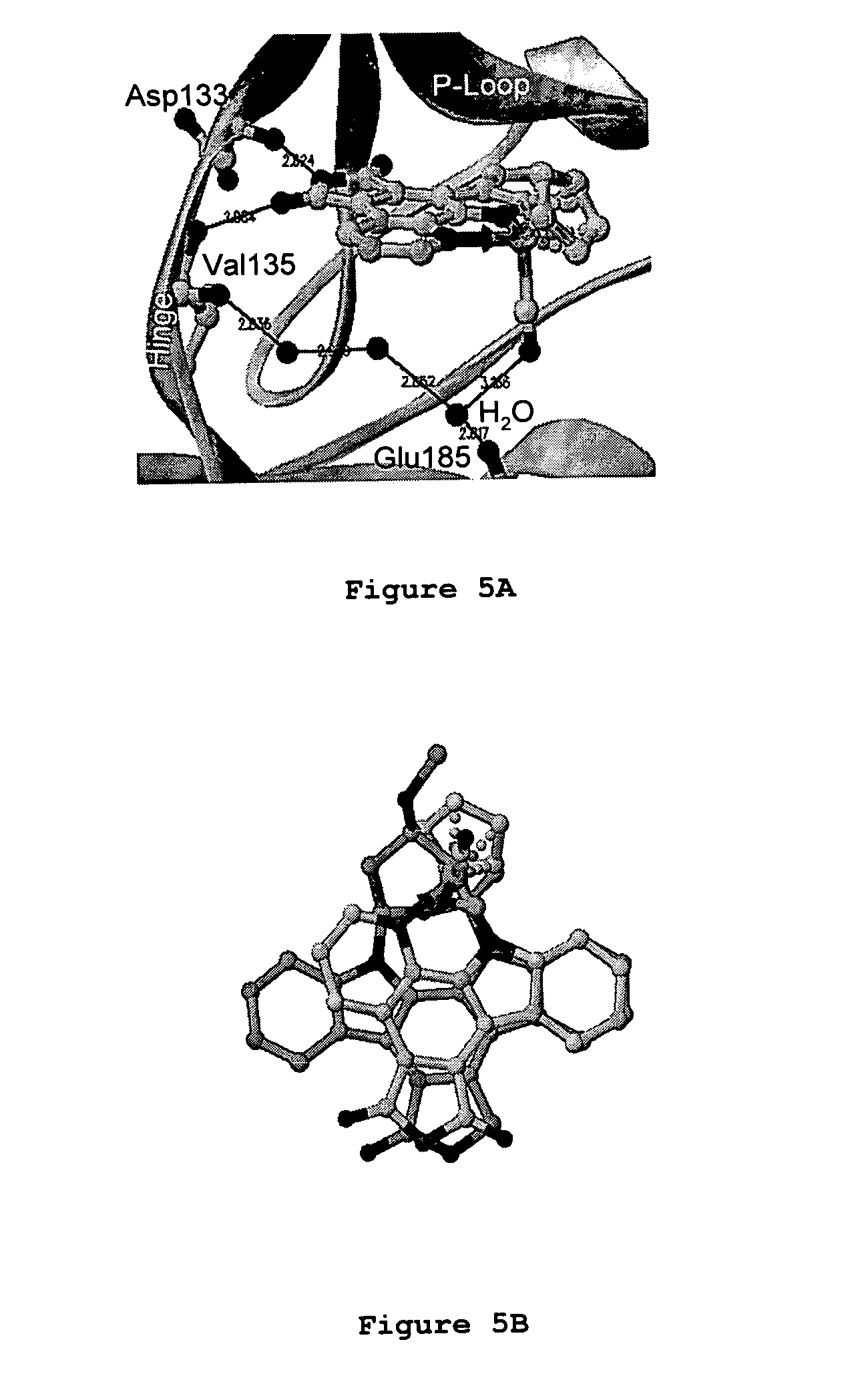 Metal complex glycogen synthase kinase 3 inhibitors