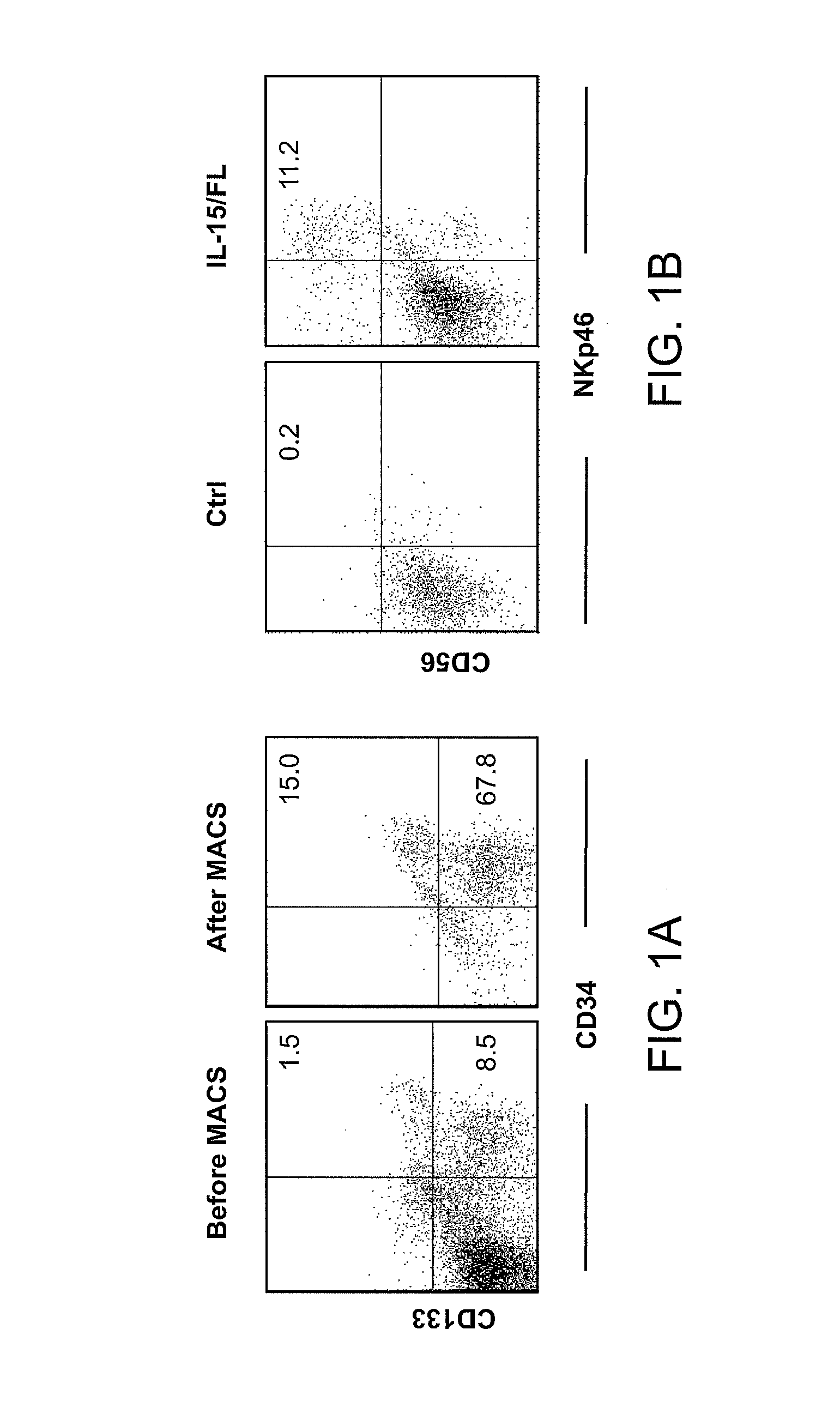 Methods Of Producing Humanized Non-Human Mammals