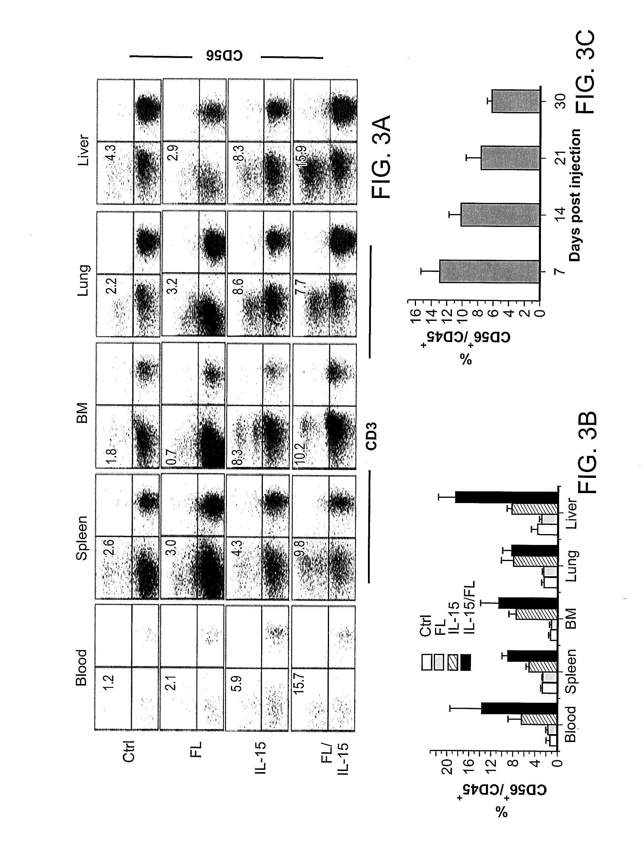 Methods Of Producing Humanized Non-Human Mammals