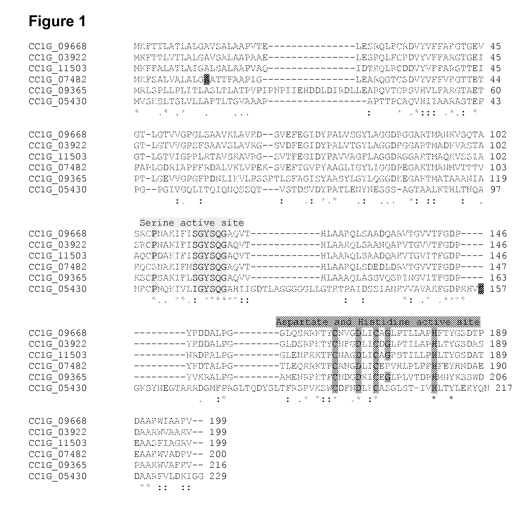 Novel esterases and their use