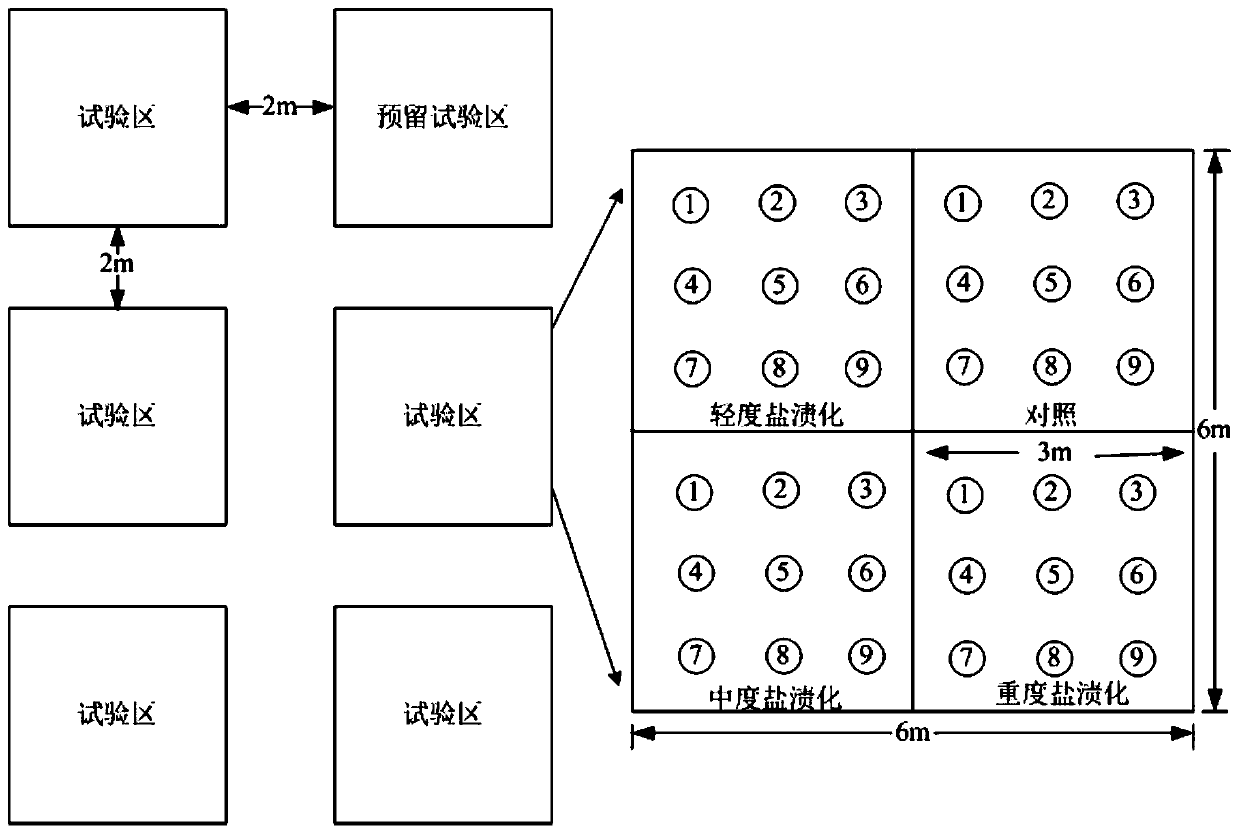 A kind of method of field herbaceous plant environmental control test