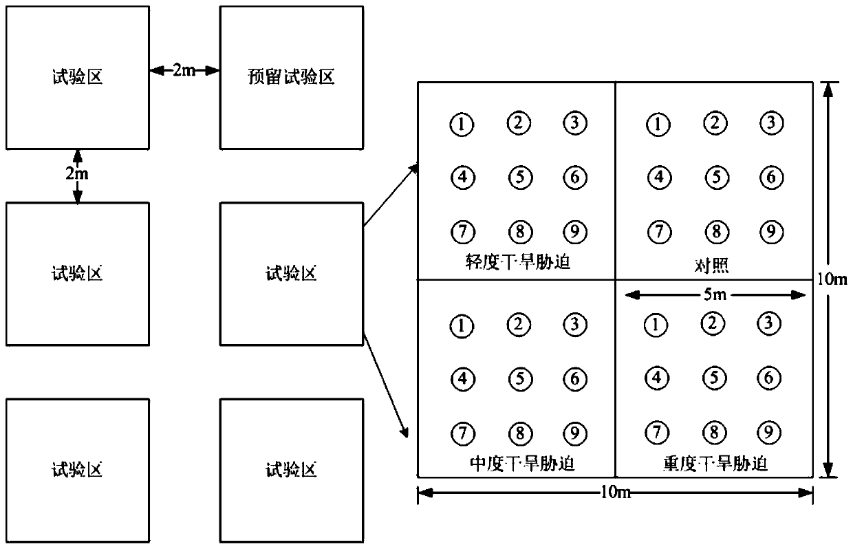 A kind of method of field herbaceous plant environmental control test