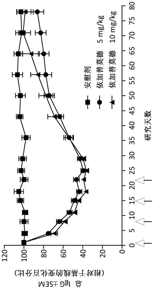 Compositions and methods for treating immune thrombocytopenia