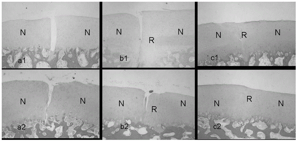 Pharmaceutical composition containing sodium alginate and preparation method of pharmaceutical composition