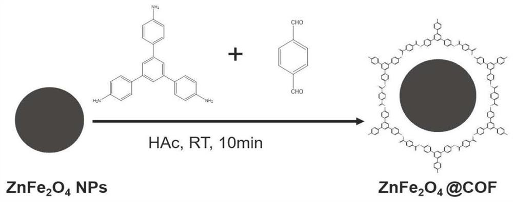 Magnetic nano-enzyme material with peroxidase catalytic activity and kit for detecting norovirus and application thereof