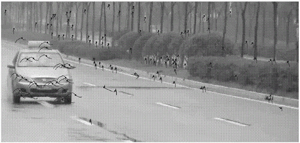 Foreground trajectory determination method and device based on feedback