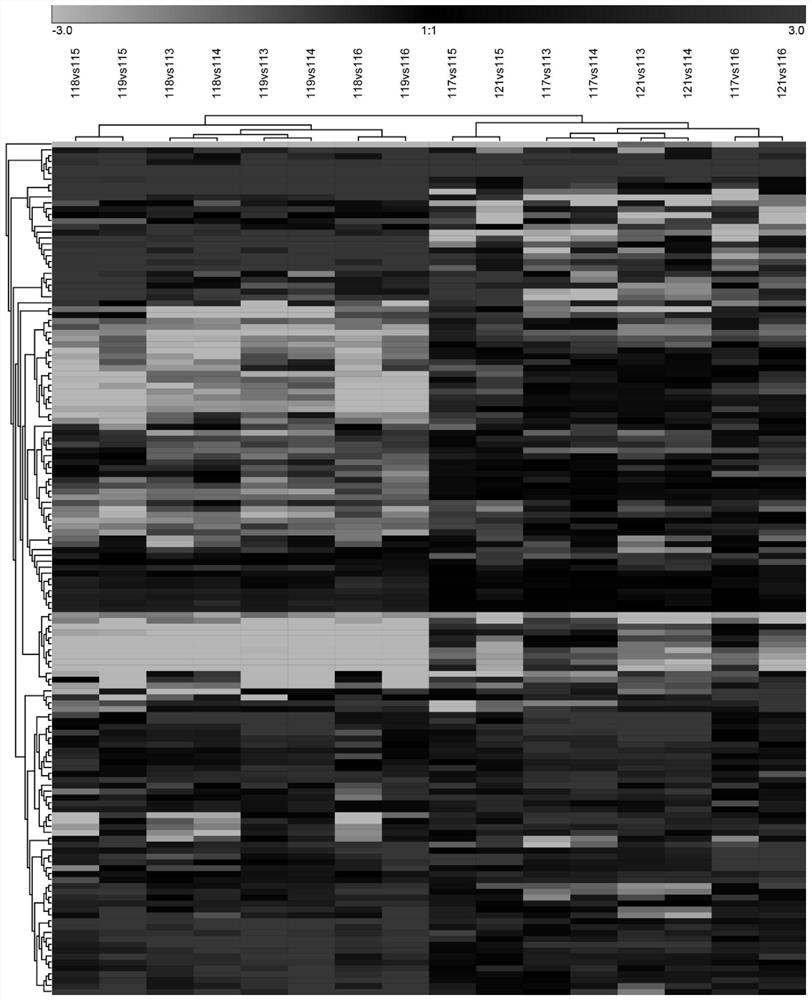 Application of FLNA, FBLN1 and TSP-1 as markers in preparation of asbestos-related disease detection kit