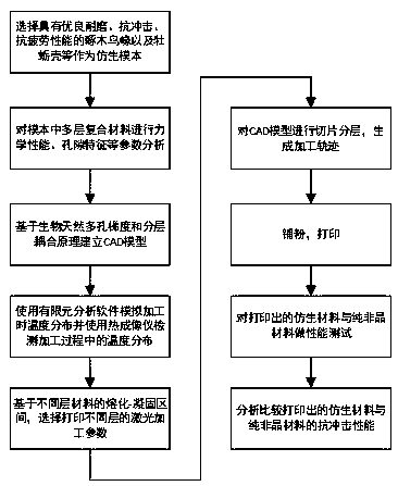 Preparation method of bionic impact-resistant multilayer composite gradient material based on amorphous alloy