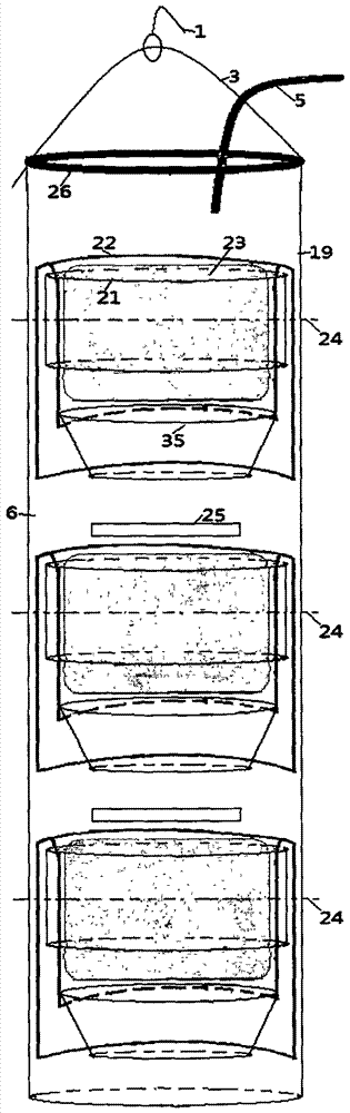 Planting system formed by novel planting ropes