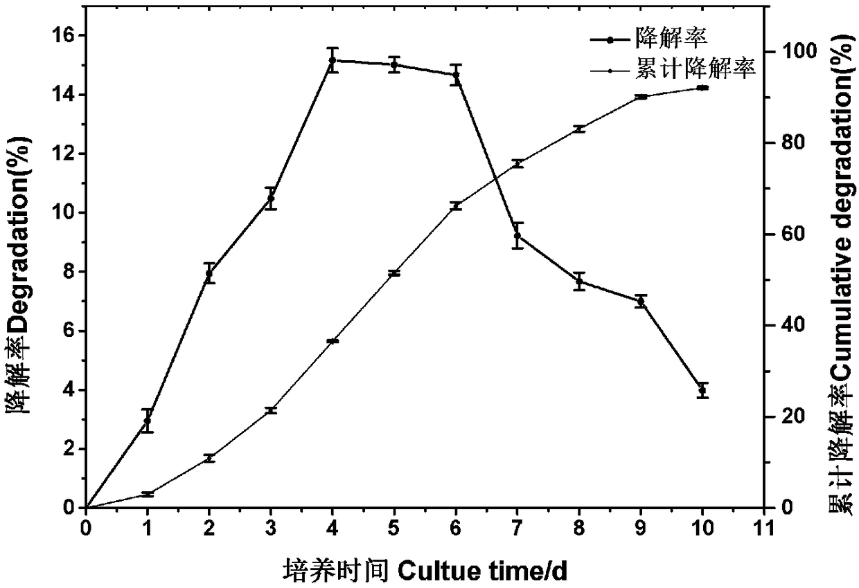 Serratia marcescens strain and application thereof to production of ligninolytic enzyme and degradation of lignin