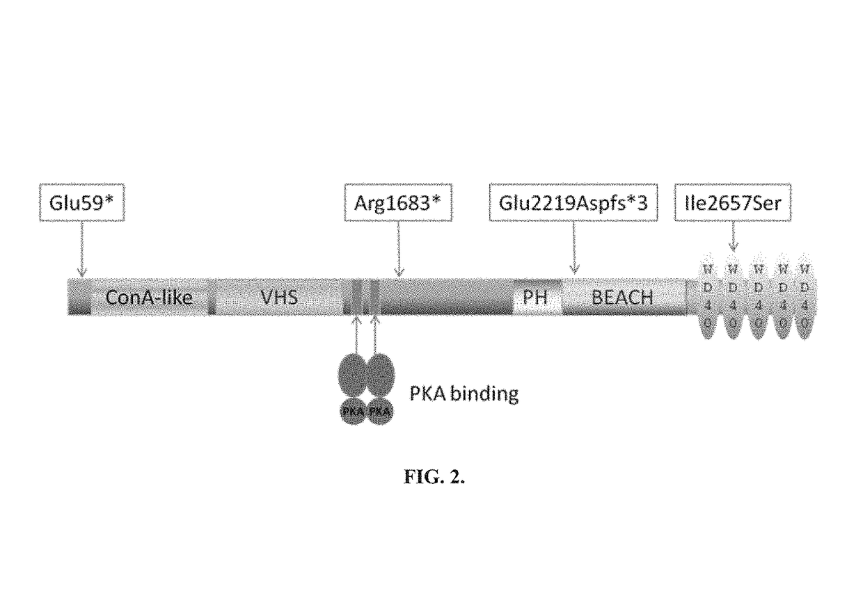 Inflammatory disease diagnosis and methods of treatment using lipopolysaccharides-responsive beige-like anchor