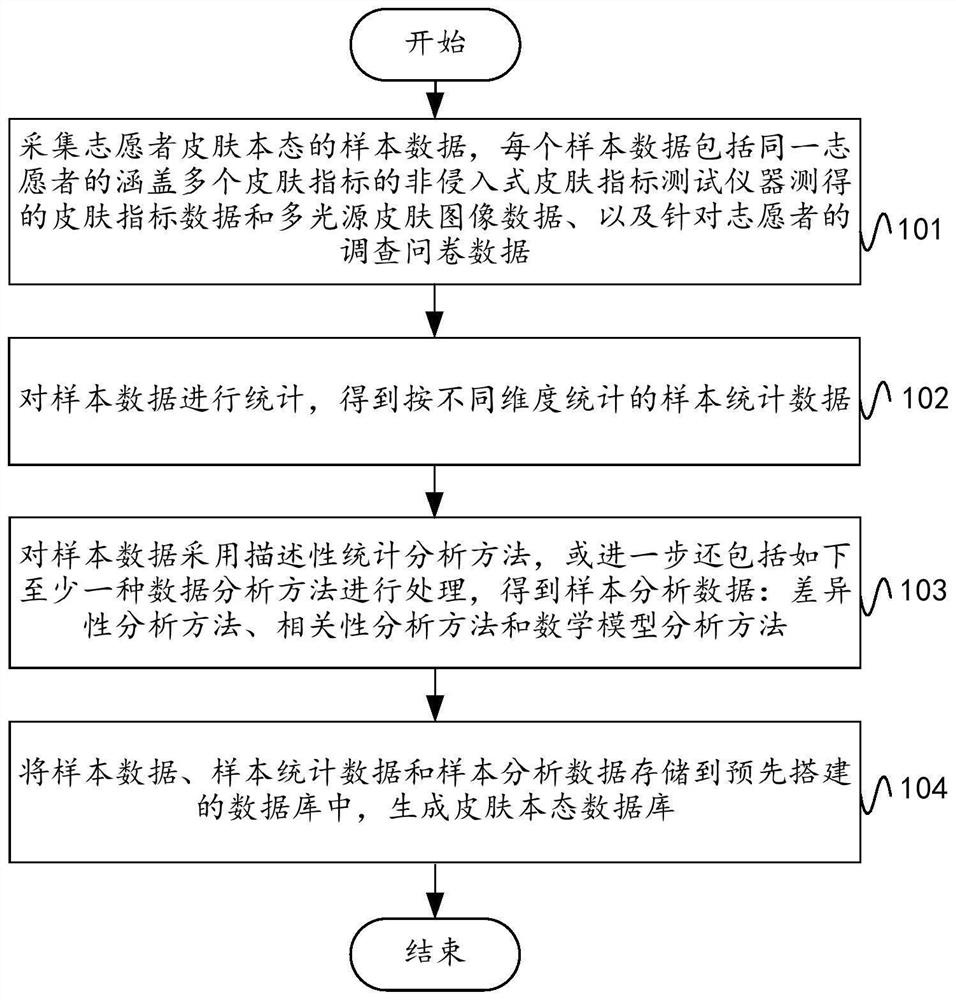 Skin local state database construction method, electronic equipment and storage medium